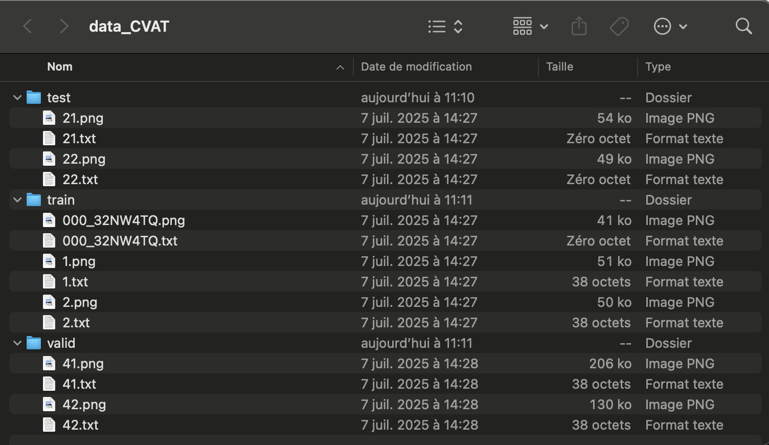 Exemple de structure de dossier pour le dataset.